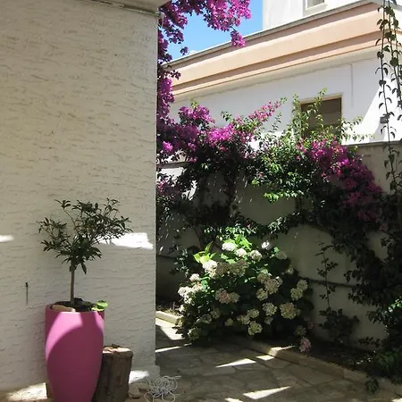 Casa Celeste 2
